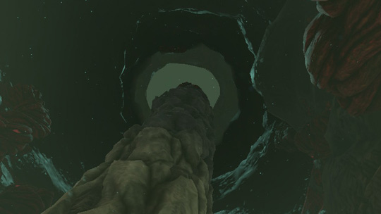 ハイラル城の深穴