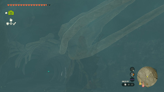 ヘブラの大化石