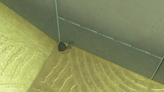 閉じ込められたリンク