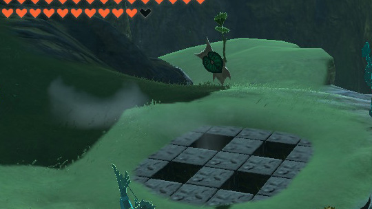 コログのミゲット